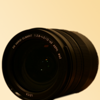 Photo de PANASONIC LUMIX 12-60 mm f/2,8-4 Asph. Power O.I.S. Leica DG